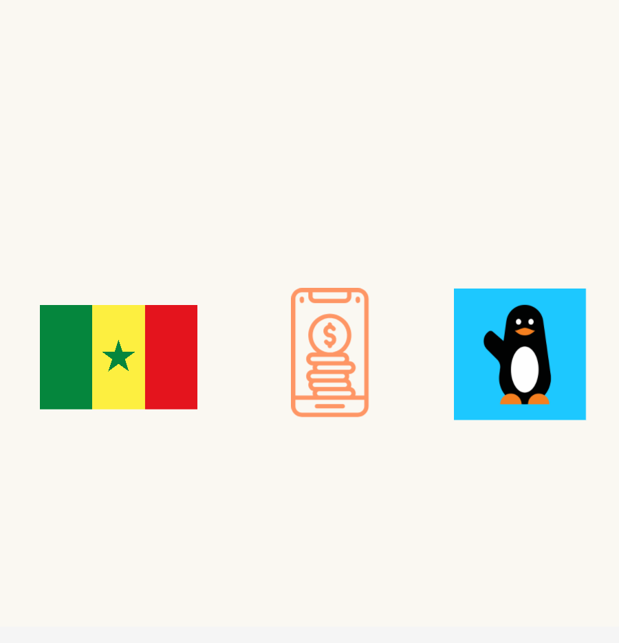 Wave: the fascinating story of an American-led, Senegal-based unicorn